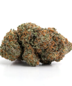 Jack Frost Strain Information