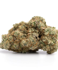 Violator Kush Strain Information