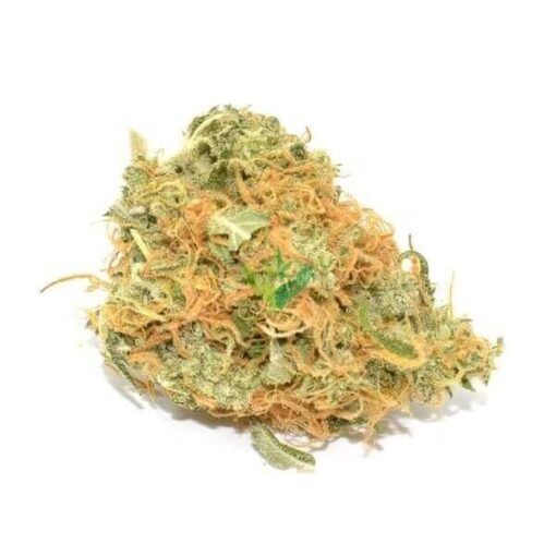 Organic Jack Herer Strain