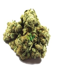 Watermelon Strain Information