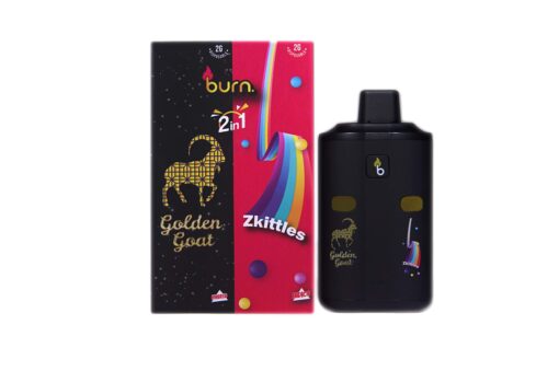 4g Dual Chamber Disposable Vape (Burn)